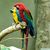 Maricsa Rivera De Diaz's profile image