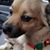 Donna Neville's profile image