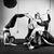 Tonia Guglielmi-White's profile image