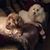Debbie Stroud Schmac's profile image