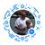 Norm DeRobertis's profile image