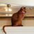 Marcie Kenslow Hixson's profile image