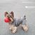 Gerard Chingling Henry's profile image
