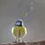 Rita Howell Davis's profile image