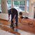 Bigdfloors Kostadinov's profile image