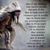 Marcial Divas's profile image