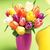 Diane Gilmore's profile image