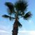 Kimberly Bland Lowe's profile image