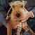 David Humphries's profile image