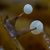 James N Dawn Langiewicz's profile image