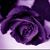 Kathleen Johnson Hart's profile image