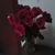 Margarita Ramirez's profile image