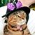 Chelle Lambotte Rueve's profile image