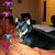 Vicki Risner's profile image