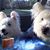 Kathy Bell's profile image