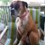 Colleen Harper Loza's profile image