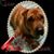 Debbie Wisniewski's profile image
