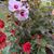 Kathi Swett's profile image