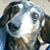 Lynne Spratley's profile image