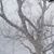Linda Nelson Sharon-Jans's profile image