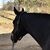 Janet Ciulla's profile image