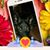 Karin Leslie Schmidt's profile image