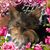Marcy Davis's profile image