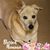 Dawn Morales Izurieta's profile image