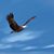 Bannock Creek's profile image