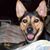 Wiley Holder's profile image