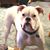 Shelly Gume's profile image