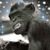 John Franklin's profile image