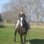 Jeanne Starr's profile image