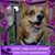 Michelle Kodi Smith's profile image