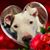 Jody Renney's profile image