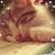 Desta Walker's profile image
