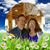 Carolyn Martinson's profile image
