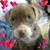 Sadie Parnell's profile image