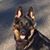Keith Croll's profile image