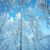 Julie Tucker's profile image