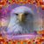 Fred Longley's profile image