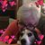 June Wood's profile image