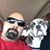 David Pereira's profile image