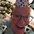 Sarah Rushton's profile image