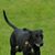 Lorraine M Korber's profile image