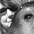 Terry Murray Carter's profile image