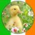 Diana Van Hess's profile image