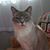 Glynn Ramer's profile image