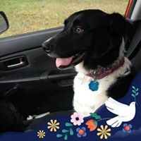 Mary Harding's profile image