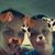 LeNae Holland-Manz's profile image